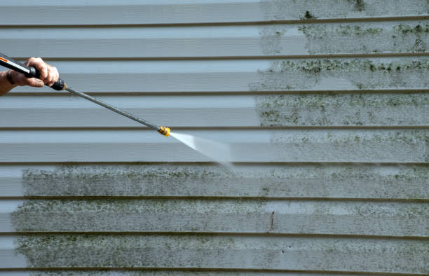 Best Attic Mold Removal  in Hico, TX