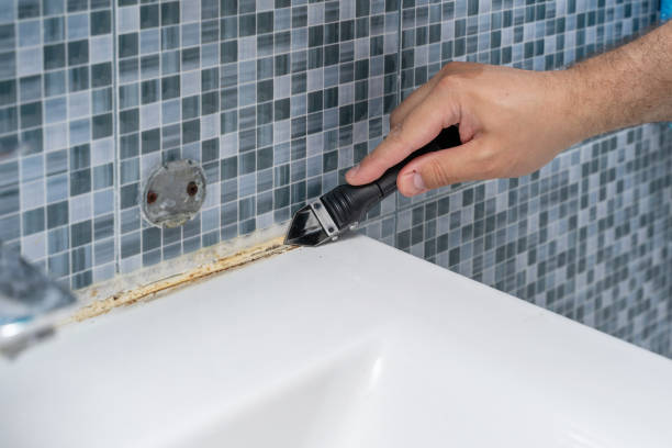 Best Toxic Mold Removal  in Hico, TX