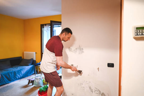 Best Commercial Mold Removal  in Hico, TX